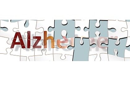 puzzelstukjes